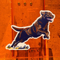CC Dog Sticker