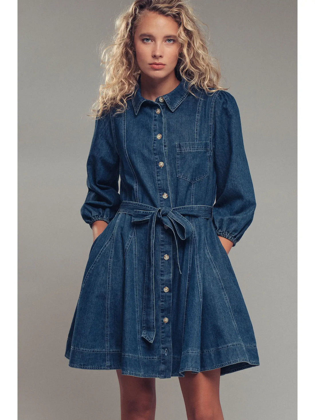 Denim Fit-and-Flare Dress