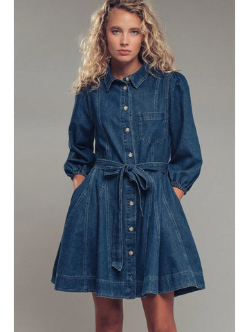Denim Fit-and-Flare Dress